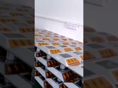 เสาถนนพลังงานแสงอาทิตย์ที่ทนทานกันน้ำเพื่อความปลอดภัยของทางเดิน